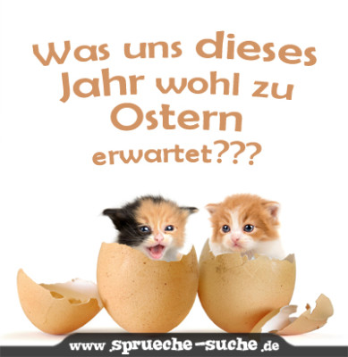 liebe geburtstag wünsche