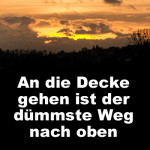 An die Decke gehen ist der dümmste Weg nach oben