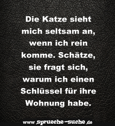 Die Katze sieht mich seltsam an, wenn ich rein komme. Schätze, sie fragt sich, warum ich einen Schlüssel für ihre Wohnung habe.