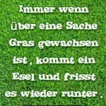 Immer wenn über eine Sache Gras gewachsen ist, kommt ein Esel und frisst es wieder runter.