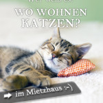 Wo wohnen Katzen - im Mietzhaus