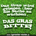 Das Gras wird gebeten über die Sache zu wachsen. DAS GRAS BITTE!