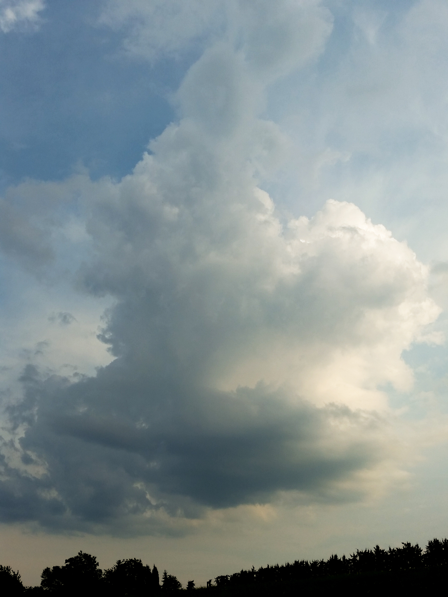 Wolkenbilder - Sprüche-Suche