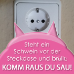 Steht ein Schwein vor der Steckdose und brüllt: KOMM RAUS DU SAU!