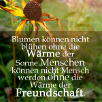 Blumen können nicht blühen ohne die Wärme der Sonne.Menschen können nicht Mensch werden ohne die Wärme der Freundschaft.