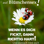 Das Leben steht nicht auf Blümchensex, wenn es dich fickt, dann richtig hart! Und dannach wird auch nicht gekuschelt!