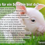 Junges Ferkel