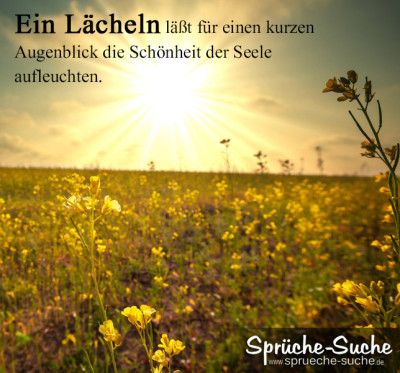 Sonnenschein auf Blumenwiese mit Spruch