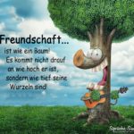 Freundschaftssprüche - Freundschaft ist wie ein Baum!