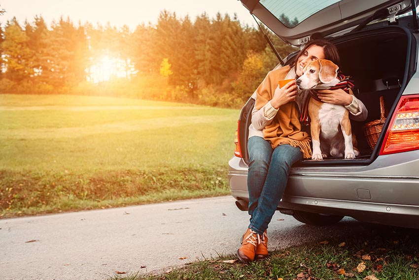 Sicher mit dem Hund im Auto reisen