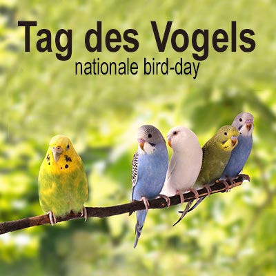 Tag des Vogels