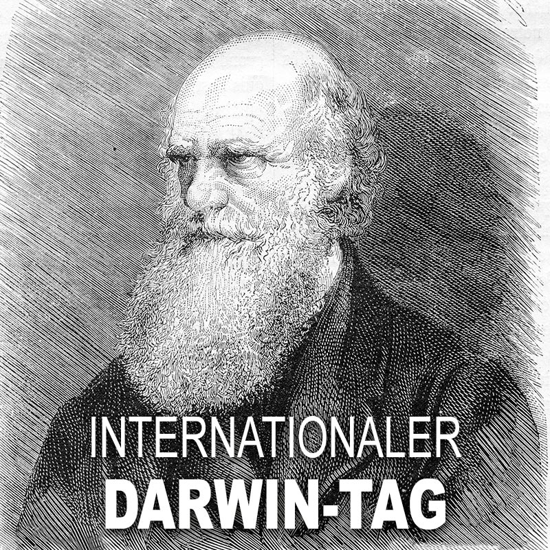 Internationaler Darwin Tag Spruche Suche