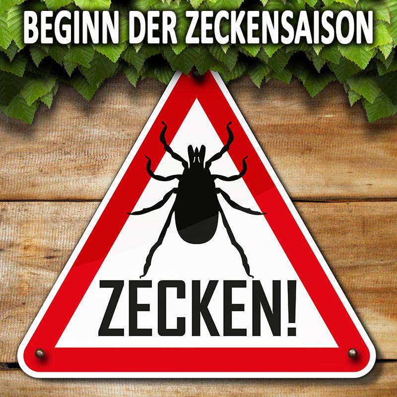 Beginn der Zeckensaison