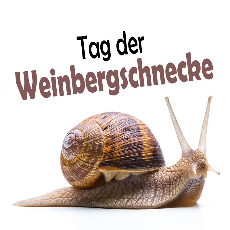 Tag der Weinbergschnecke