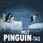 Welt-Pinguin-Tag