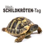 Welt-Schildkröten-Tag