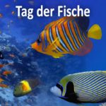 Tag der Fische