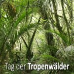 Tag der Tropenwälder