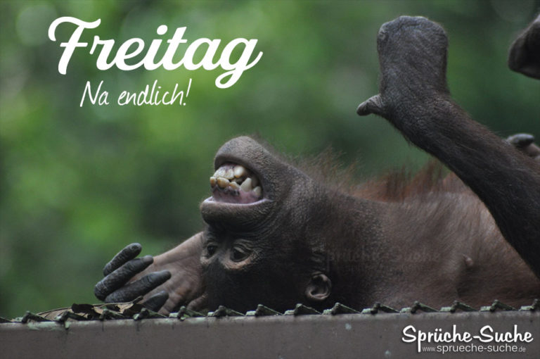 Freitag. Na Endlich! - Bild Zum Wochenende Mit Affe