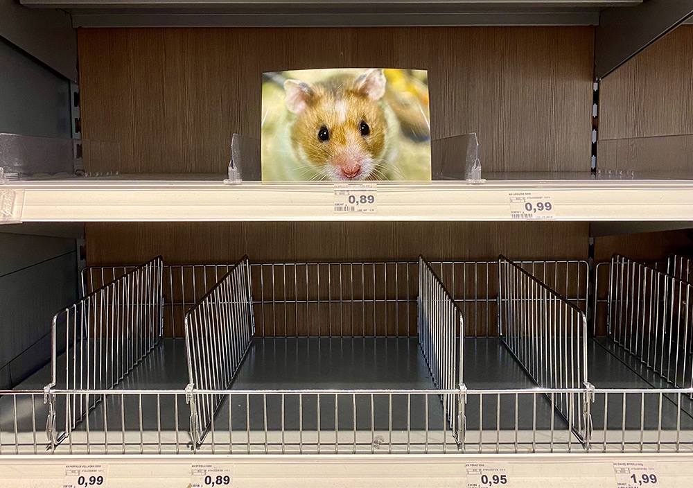 Hamsterkäufe im Supermarkt
