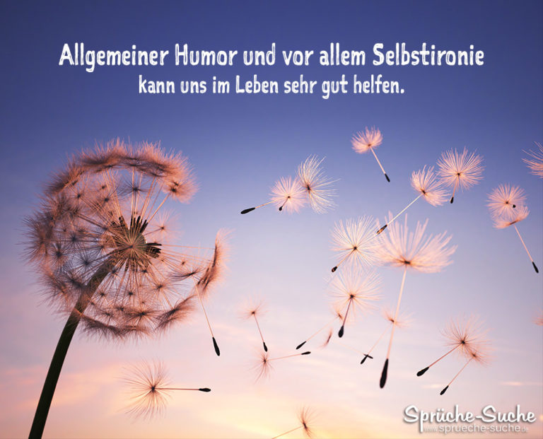 32++ Selbstironie sprueche , Allgemeiner Humor und Selbstironie